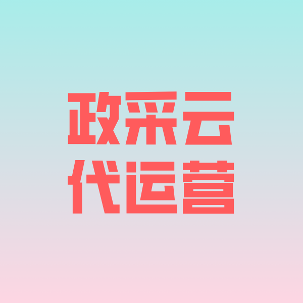 淳化政采云代运营
